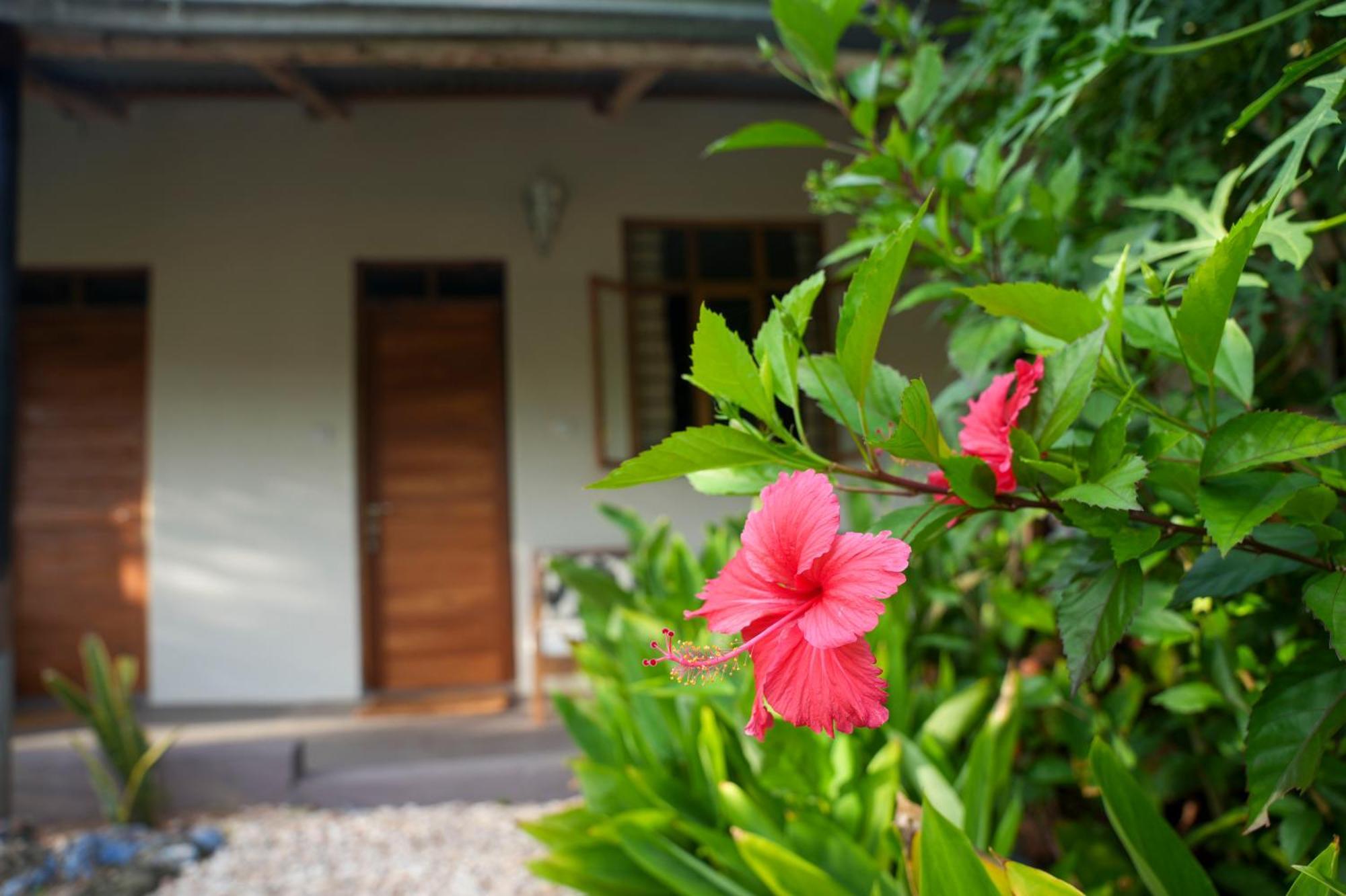 Kendwa Breeze Bungalows Экстерьер фото